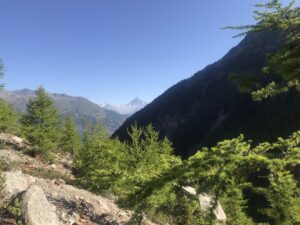 Bietschhornblick, Alpja bei Grächen - Wallis