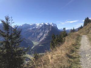 Wetterhorngruppe und Urbachtal, Berner Oberland