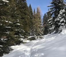 Winterwonderland Aletsch