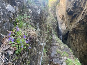 Alpbachschlucht