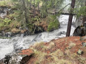 Zuttbach Zermatt